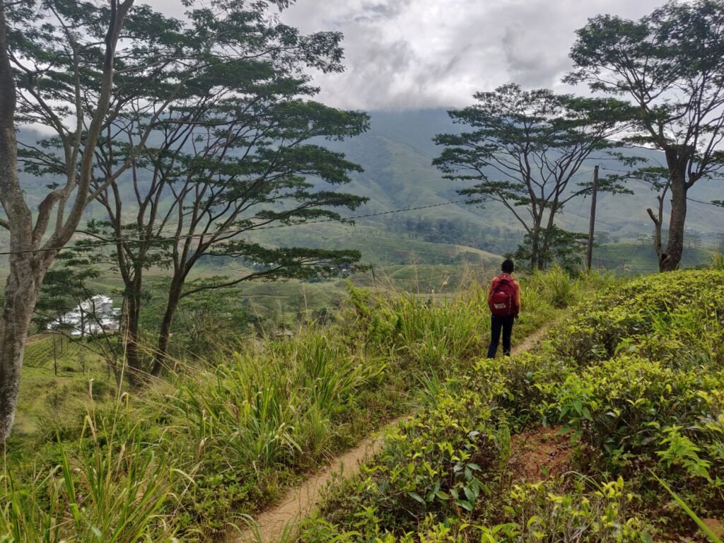 Sri Lanka Hill Country The Curious Experience