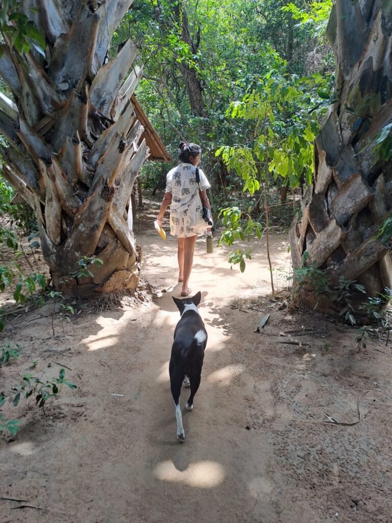 In the Heart of Sri Lanka’s Dry Zone Explore sri lanka meaningfully