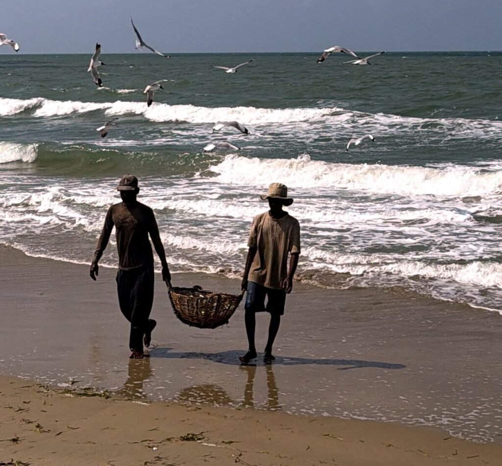 Blogs & Insights Explore sri lanka meaningfully Mannar fishermen