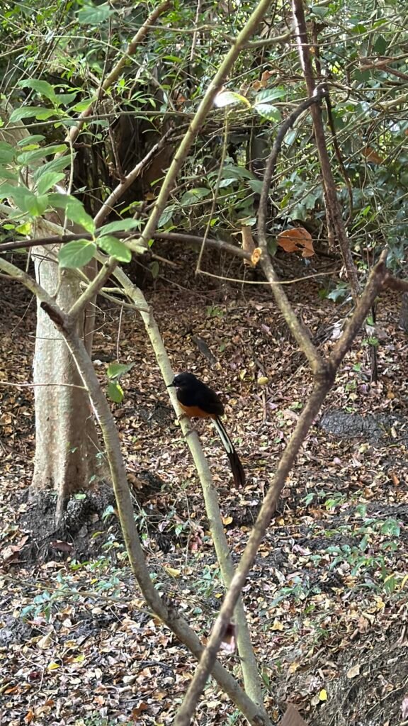 In the Heart of Sri Lanka’s Dry Zone Explore sri lanka meaningfully