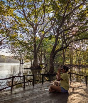 Birdwatching in a secluded reservoir in Sri Lanka