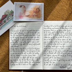 The Curious Experience First Client Testimonial