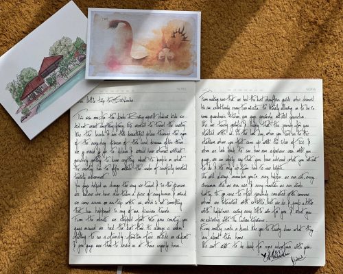 The Curious Experience First Client Testimonial